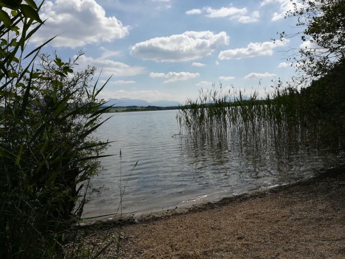 Am See 90 Seekirchen am Wallersee Exterior foto
